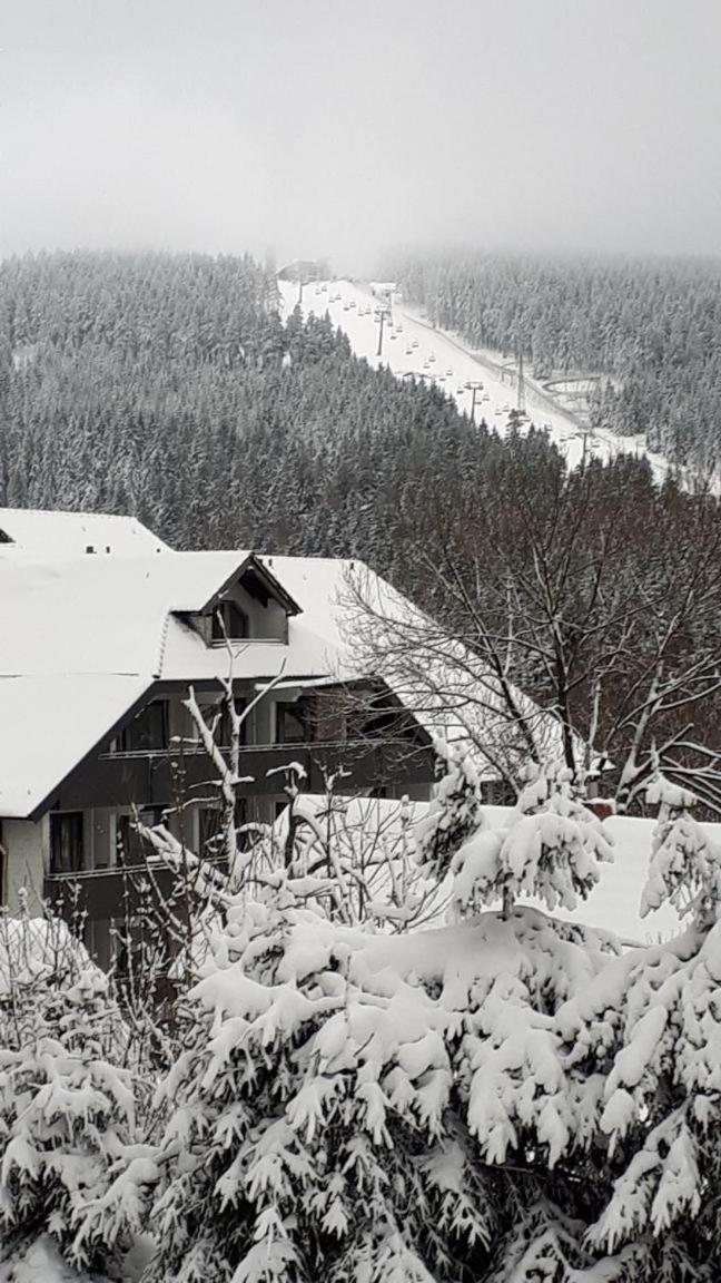 Ferienwohnung Steffens Hahnenklee Wohnung 25 Гослар Екстер'єр фото