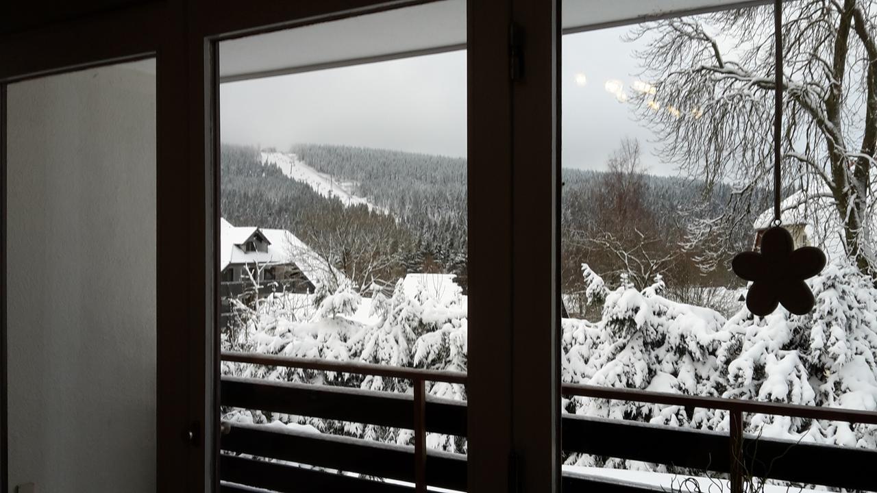 Ferienwohnung Steffens Hahnenklee Wohnung 25 Гослар Екстер'єр фото